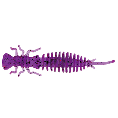Insect